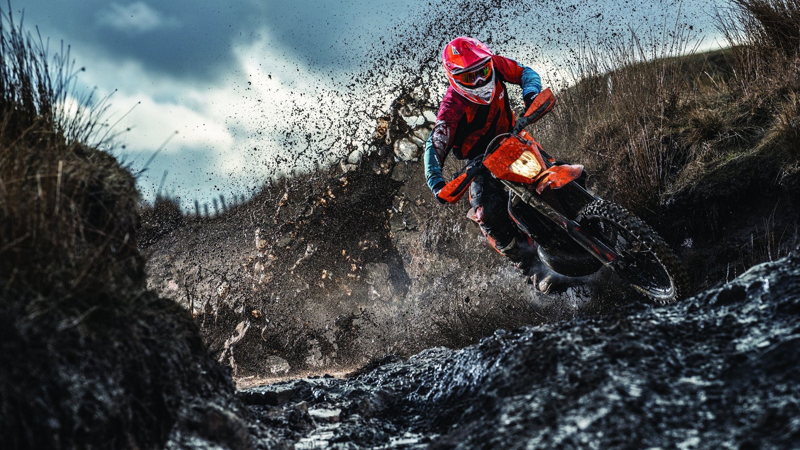 南非羚羊队防守担当：皮特·斯图斯无愧为世界最佳后排，南非羚羊皮可以干嘛用